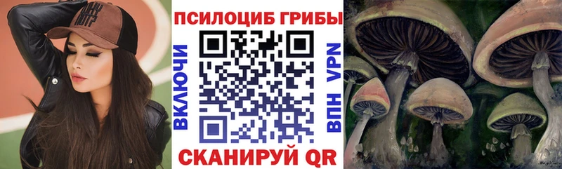 Галлюциногенные грибы GOLDEN TEACHER  Берёзовка 